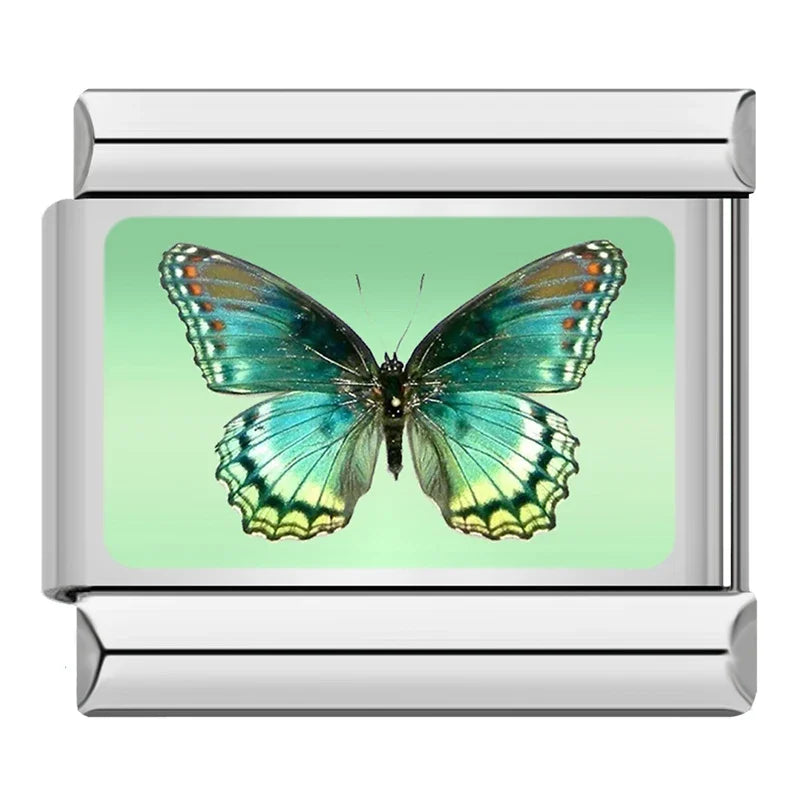 Charm Italiano Plano - Colección Mariposas del Mundo (Realistas y Coloridas)