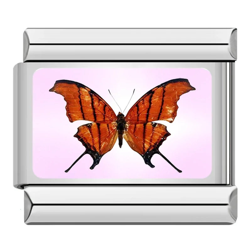 Charm Italiano Plano - Colección Mariposas del Mundo (Realistas y Coloridas)