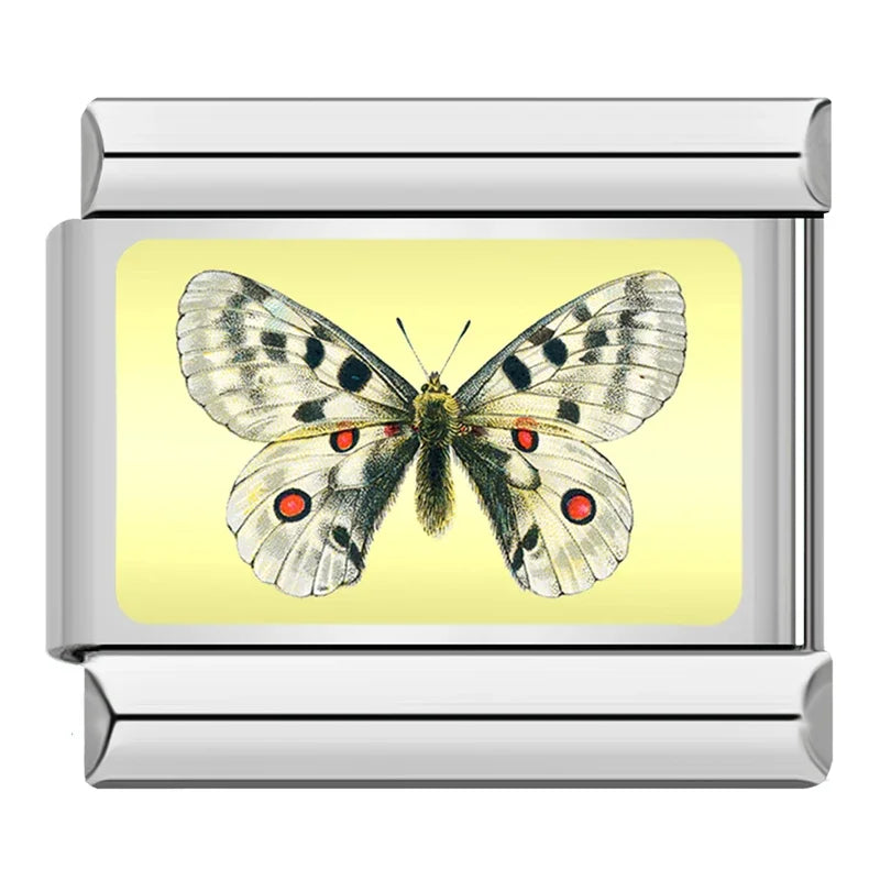 Charm Italiano Plano - Colección Mariposas del Mundo (Realistas y Coloridas)